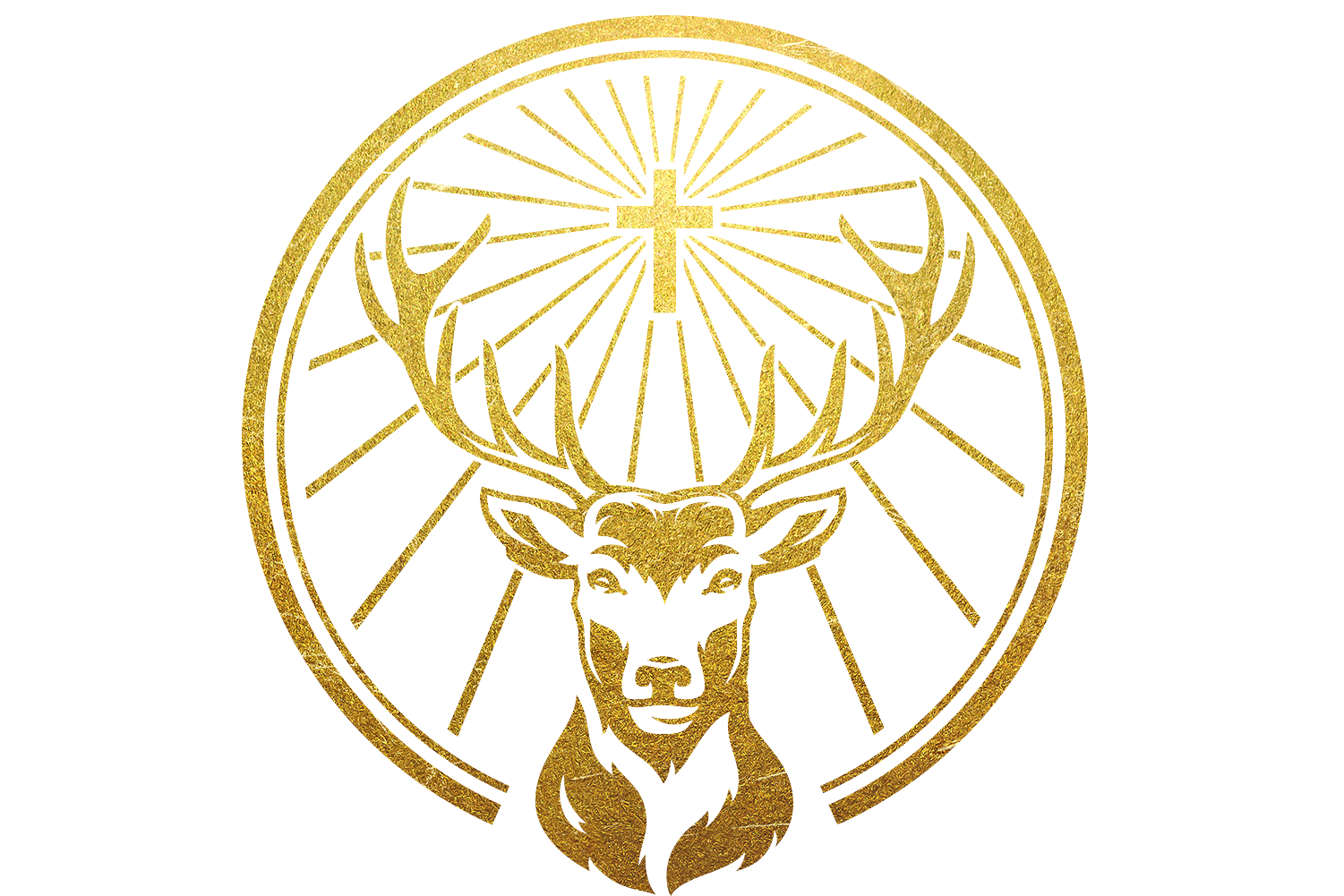 TSHIRT in verschiedenen Größen